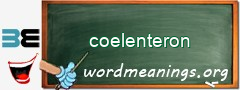 WordMeaning blackboard for coelenteron